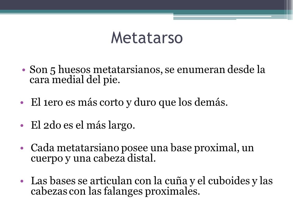 I un muy pequeño miembro